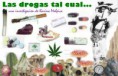 /album/fotogaleria/drogas-jpg/